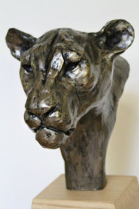 Lioness Head sculpture by Nadine Collinson